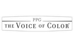 VOICE OF COLOR